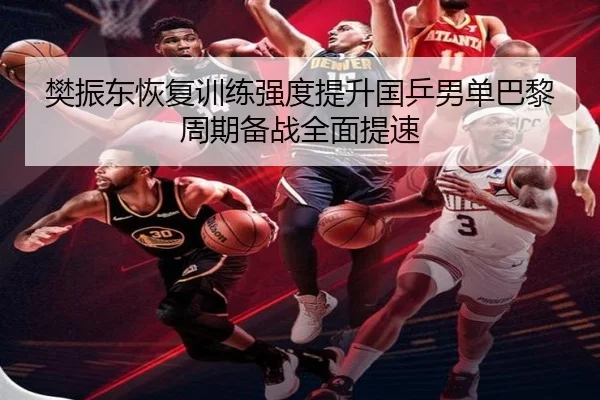 樊振东恢复训练强度提升国乒男单巴黎周期备战全面提速